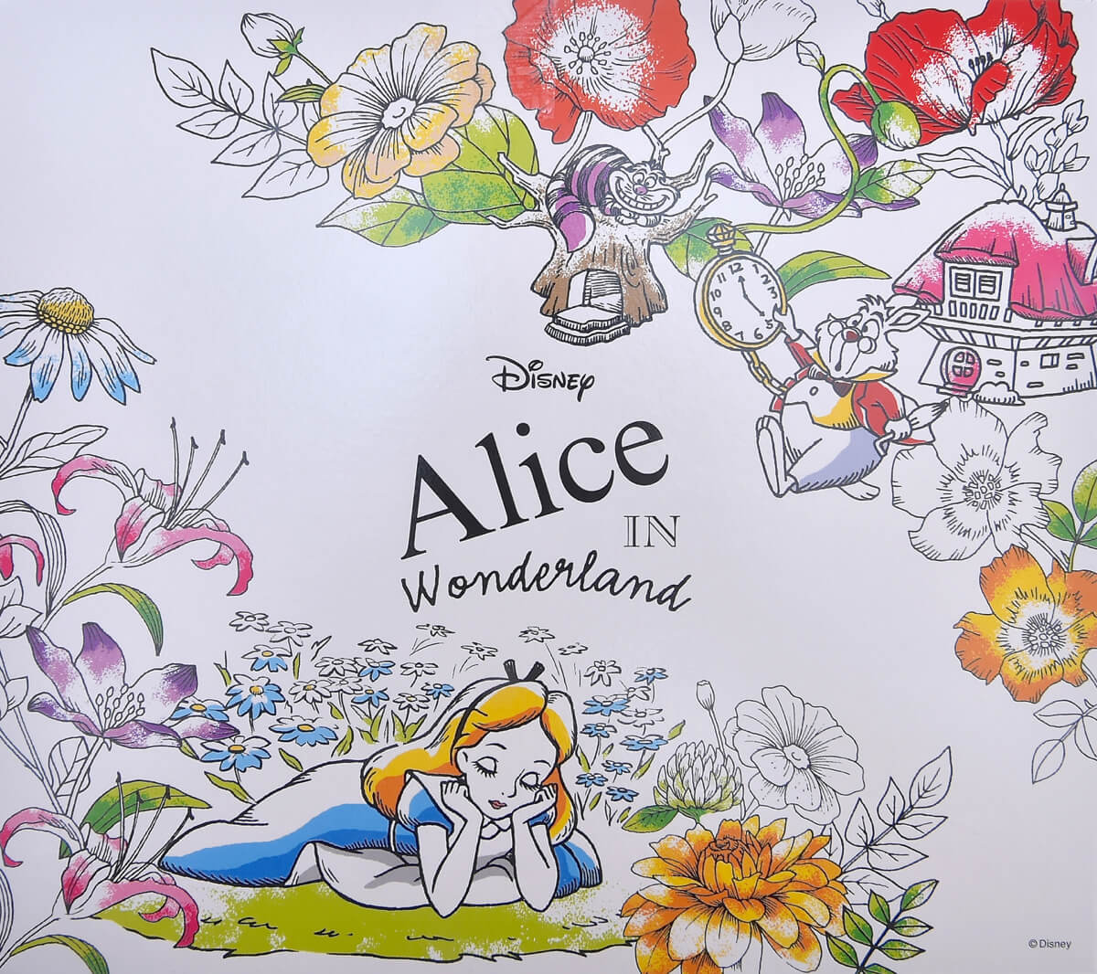 パッケージサイド２ ふしぎの国のアリスがテーマ 銀座コージーコーナー ディズニー スターフェスティバルコレクション