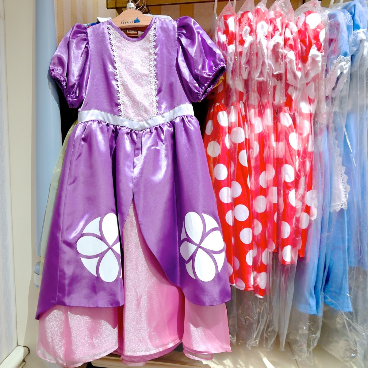 気軽にディズニープリンセスになりきり 東京ディズニーランド ドレス